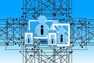 篮球专项技能教学中的技术动作细化分析，篮球动作技能理论知识