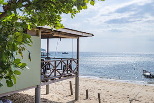 绿色场馆覆盖智能环保系统，推动全球体育绿色低碳行动，绿色场馆建设